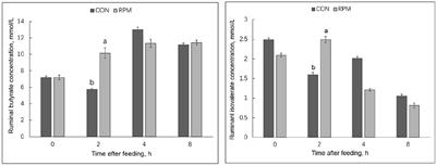 Effects of rumen-protected methionine supplementation on production performance, apparent digestibility, blood parameters, and ruminal fermentation of lactating Holstein dairy cows